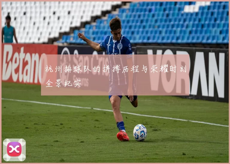 杭州排球队的拼搏历程与荣耀时刻全景纪实