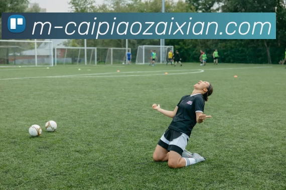 在线彩票平台生态图